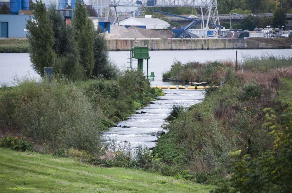 Bedienpost-Borgharen-111018-084