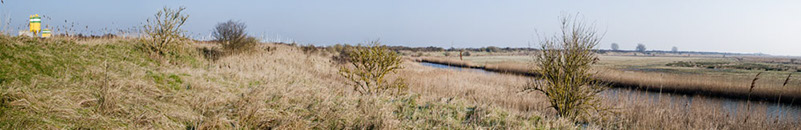 Natuurreservaat-Scheelhoek-120131-120131-032pano