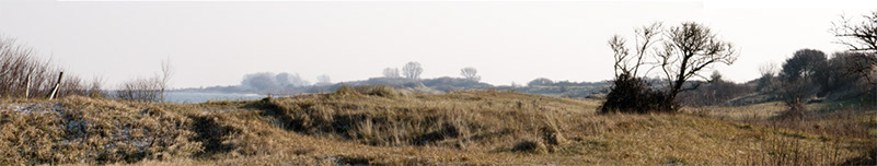 Natuurreservaat-Scheelhoek-120131-044-pano