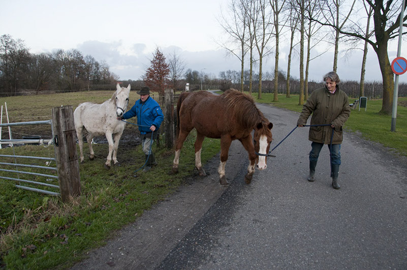 Blitterswijck-12242011-003